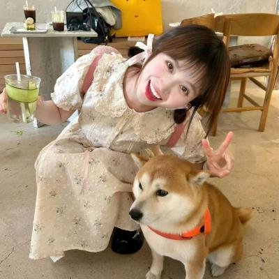 古诺枫之歌